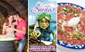 001 Visitas y gastronomía en Laguardia: Menú Asador Vintage